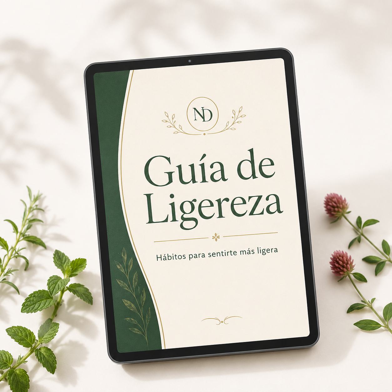 Ebook Guía de Ligereza GRATIS.